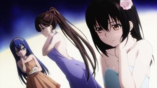 【番剧/OVA/无修正/1080P】噬血狂袭 女武神的王国篇(BD 1920x1080 HEVC-YUV420P10 FLACx2)