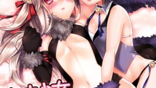 【本子】魔法少女伊莉雅（929.44MB）（度盘）