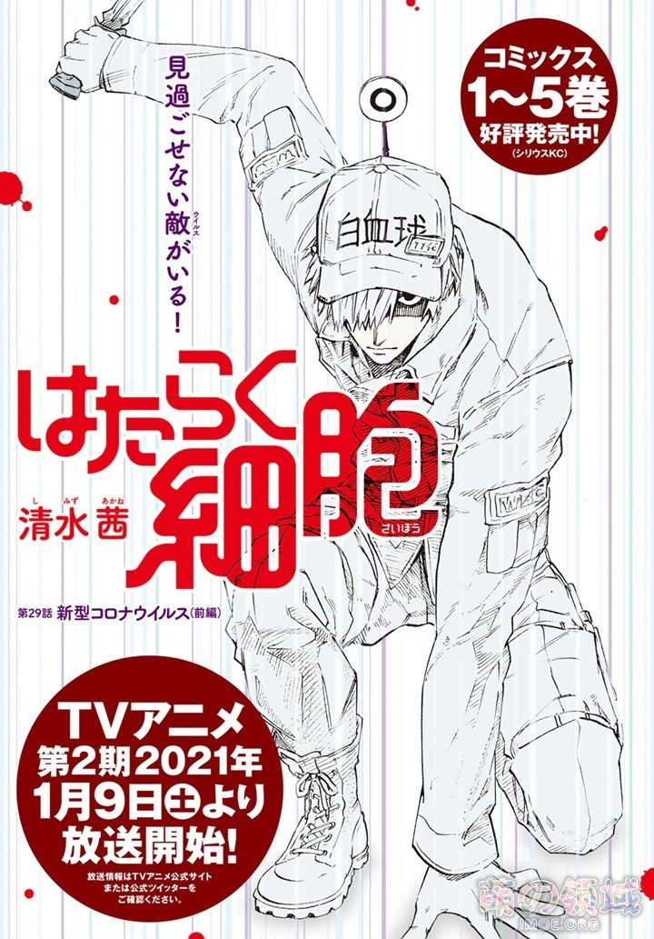 紧跟时事，漫画《工作细胞》即将完结，最终篇为《新冠篇》- 萌の领域