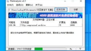 【软件推荐】FileAnalysis 【度盘】