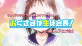 【番剧】 [Snow-Raws] 我老婆是学生会长/Okusama ga Seitokaichou!/おくさまが生徒会長! (BD 1920x1080 HEVC-YUV420P10 FLACx2)【磁力】