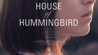 【电影】蜂鸟.House.of.Hummingbird.2019.HD1080P.韩语中字.BTDX8【磁力/4.5G】