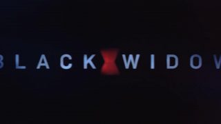 【电影】黑寡妇Black Widow1080p【度盘/2.6g】