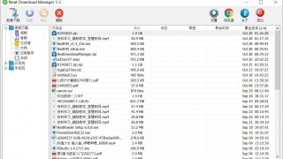 【软件推荐】NDM下载器（Neat Download Manager【<1M】