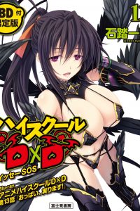 【轻小说】恶魔高校D×D 1~25卷+短篇集【epub版】【度盘】