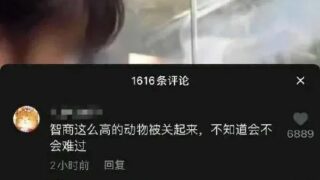 【每日图一乐】想不到我小猪佩奇也有如此光荣的一天