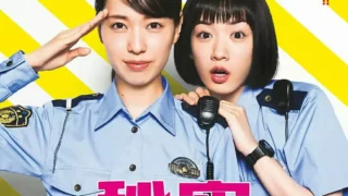 【日剧】女子警察的逆袭【磁力/12G】