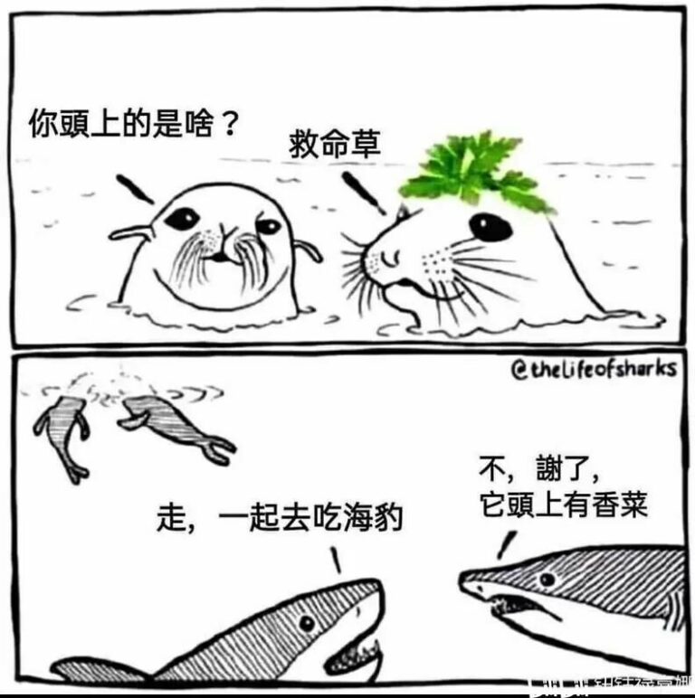 【每日图一乐】今天是冬至，让我们一起包！饺！砸！