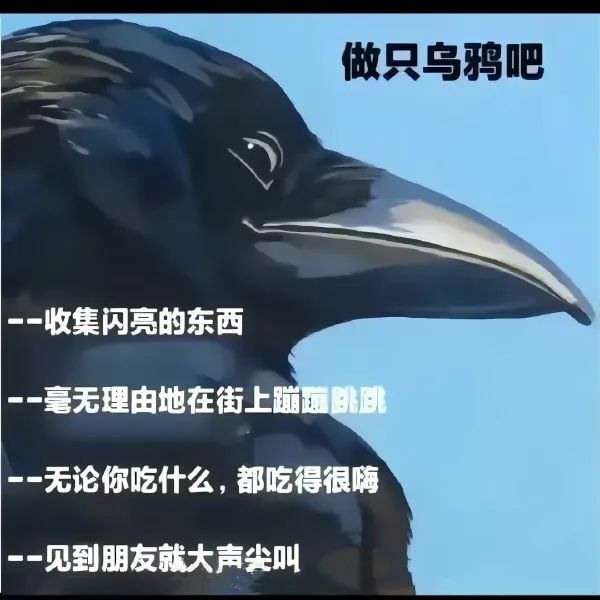 【每日图一乐】今天是冬至，让我们一起包！饺！砸！