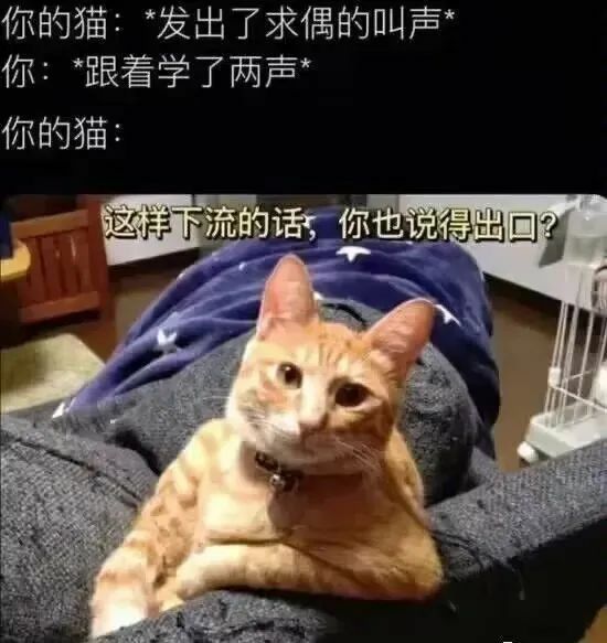 【每日图一乐】感觉不如……