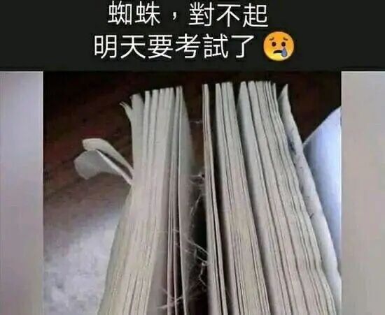 【每日图一乐】浏览量太低就会让人失去干活的动力