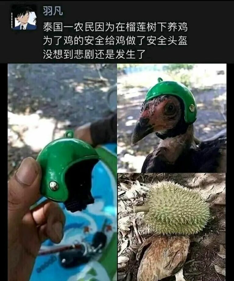 【每日图一乐】浏览量太低就会让人失去干活的动力