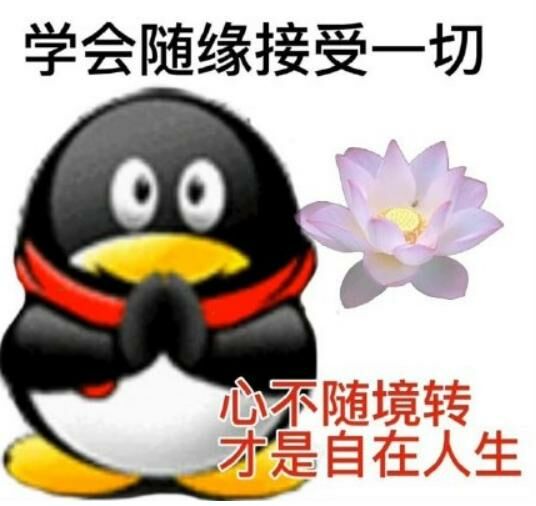 【每日图一乐】上一次是什么时候，想不起来了